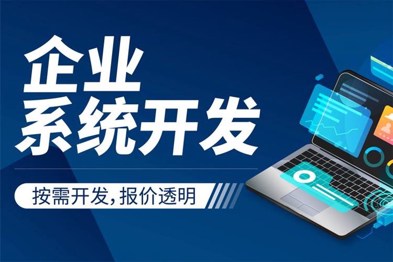 上海软件开发选购指南：助力企业数字化转型